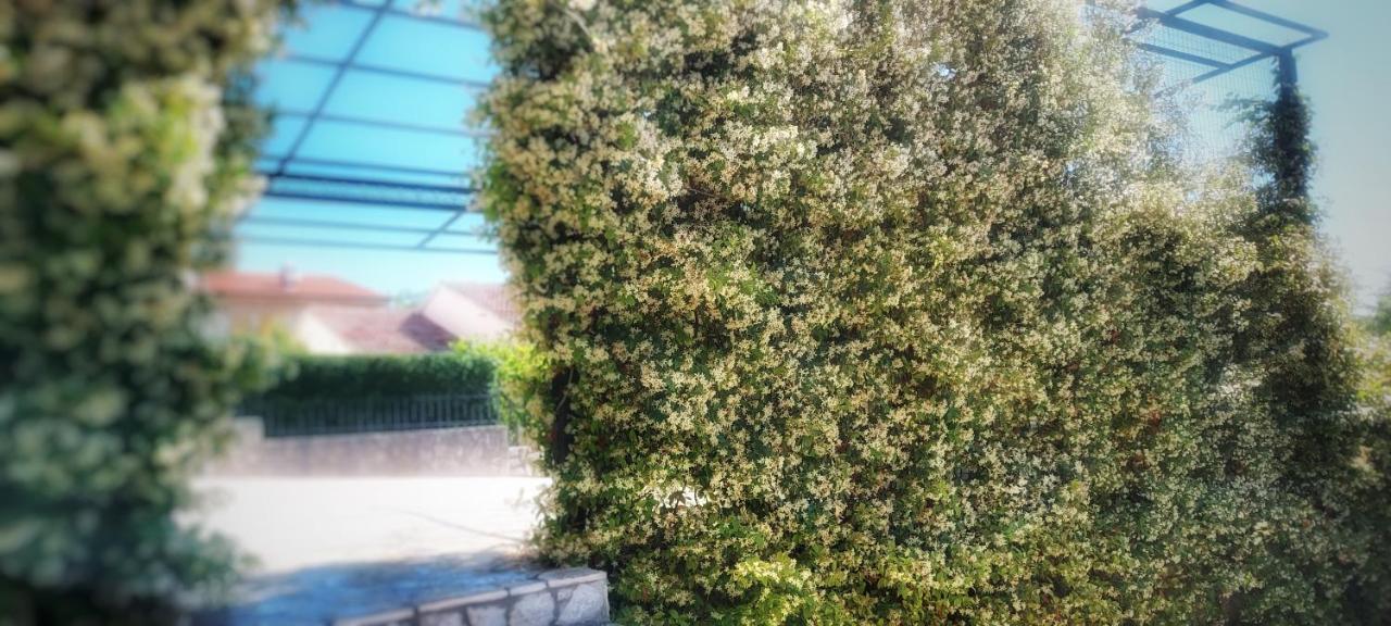 Apartmani Tomislav Krk Town Esterno foto